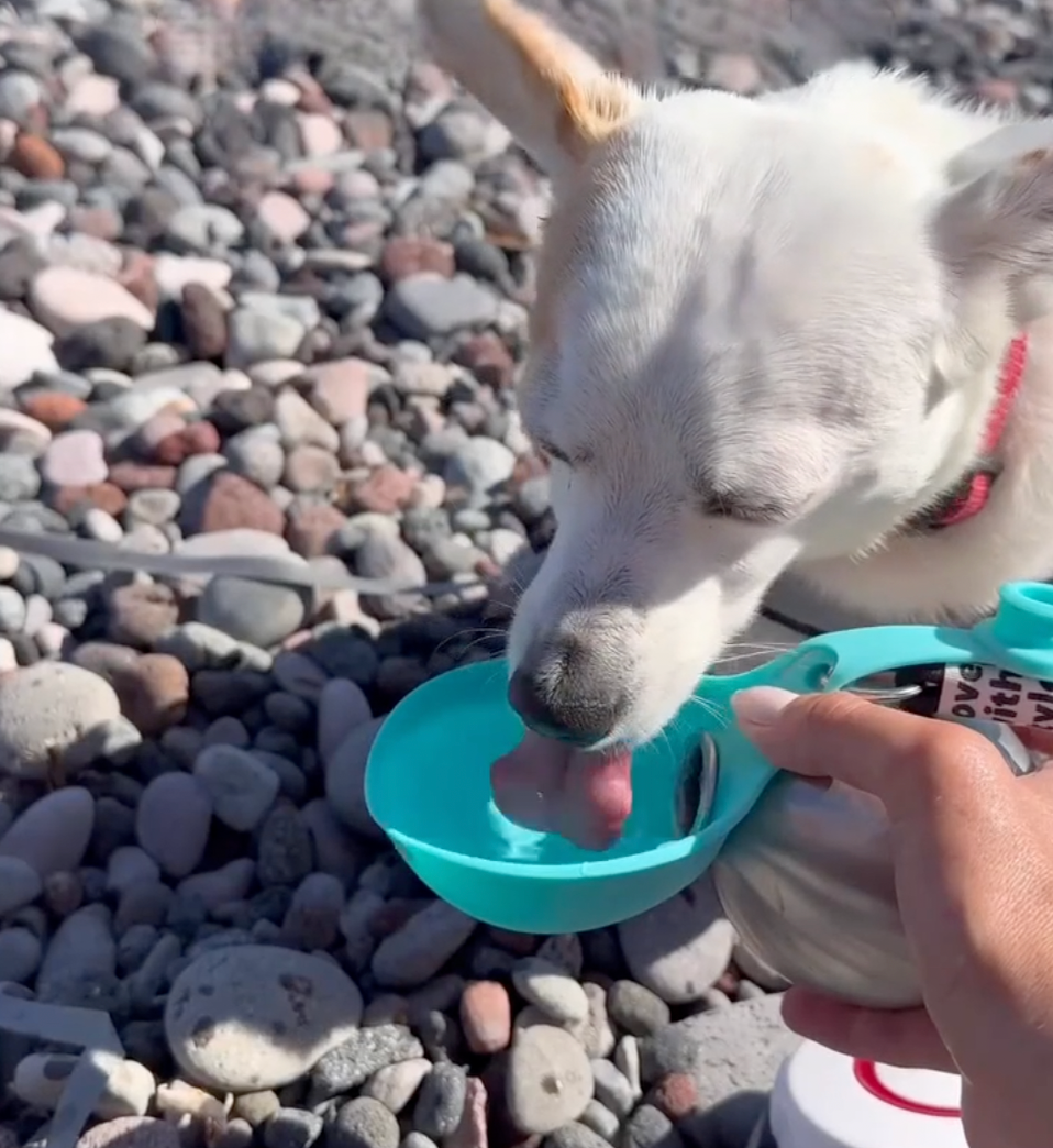 Mochi HydroGo Şişesi