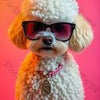 Mochi Pet Avatar